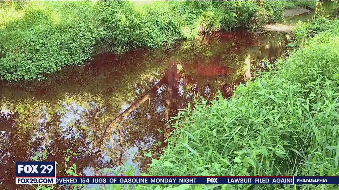 Portion of Pennsauken Creek runs red after food dye discharged from nearby plant, officials say